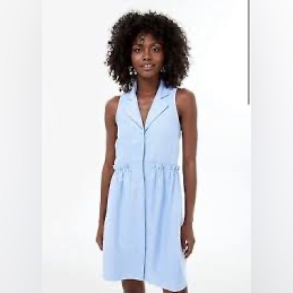 Tuckernuck Oxford Royal Sleeveless button front shirt dress Small - Picture 1 of 10